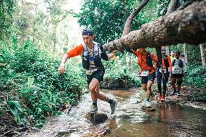 BIB: 
                            <button type="button" onclick="openModal(25375193)" class="btn btn-primary btn-sm float-right btn-popup" data-toggle="modal" data-target=".modal-high-quality">
                        <i class="fas fa-shopping-cart"></i> Add to Cart
                    </button>
                                            <button type="button" onclick="isThisMe(25375193, true)" class="btn btn-success btn-sm float-right btn-popup btn-isme hidden" data-toggle="tooltip" data-placement="bottom" title="นี่คือรูปของคุณใช่ไหม คลิกที่นี่เพื่อเอาเข้าอัลบั้ม">
                        <i class="fas fa-plus"></i> Add to album
                    </button>
                    <button type="button" onclick="isThisMe(25375193, false)" class="btn btn-warning btn-sm float-right btn-popup btn-isnotme hidden">
                        <i class="fas fa-ban"></i> Remove from album
                    </button>